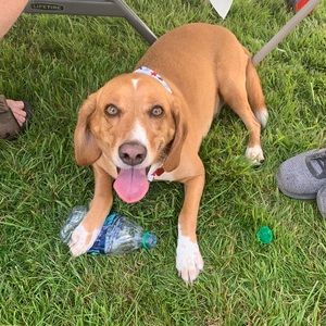 Meet your Posher, Catherine